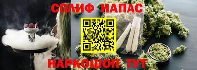 МДПВ Гатчина