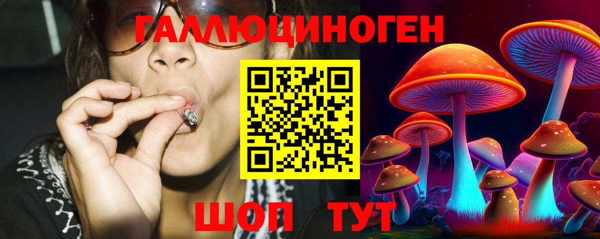 Вольск  Галлюциногенные грибы GOLDEN TEACHER  Вход с VPN 